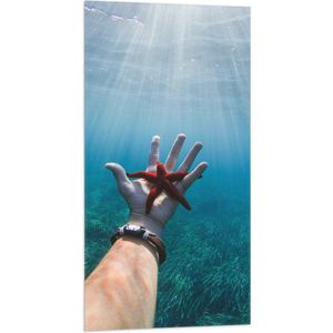 WallClassics - Vlag - Rode Zeester Onder Water - 50x100 cm Foto op Polyester Vlag
