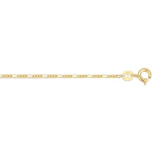 Twice As Nice Halsketting in 18kt verguld zilver, figaro 40 cm