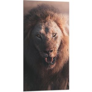 WallClassics - Vlag - Boze Leeuw in het Wild - 50x100 cm Foto op Polyester Vlag