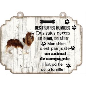 Tableau Déco - King Charles