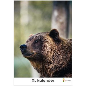 Dierenkalender XL - Verjaardagskalender - De mooiste dierenfoto's op een grote staande kalender!