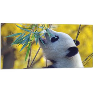 WallClassics - Vlag - Etende Panda - 100x50 cm Foto op Polyester Vlag