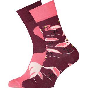 Many Mornings sokken - Pink Flamingo - Unisex - Maat: 43-46