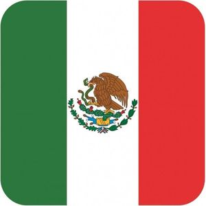 45x Bierviltjes Mexicaanse vlag vierkant - Mexicaanse feestartikelen - Landen decoratie