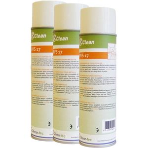 R-Clean RVS 17