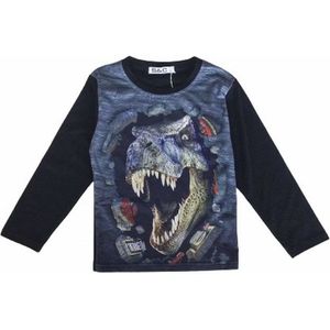 S&C Dinosaurus shirt - Lange Mouw - Dino shirt - T-rex - Zwart - maat 98/104 (4y)