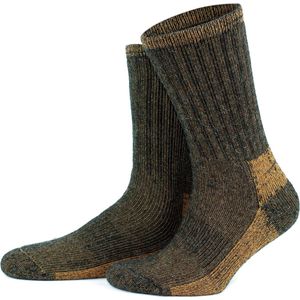 GoWith-2 paar-alpaca wollen sokken-diabetes wollen sokken-volledige badstof-huissokken-thermosokken-cadeau sokkenmaat 35-38