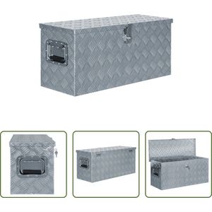 The Living Store Trailerkist Aluminium 80x30 cm - Ruime opbergbox met vergrendelsysteem - Zilver - Hoge kwaliteit