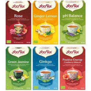 Yogi Tea - Ice Tea Time Pakket - 6 pakjes x17 theezakjes - Heerlijke ijsthee gemaakt van biologische kruidenthee