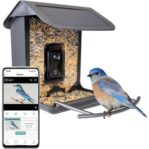 Smart Vogelhuisje Met Camera - AI Vogelherkenning - Night Vision Camera en app - Vogelvoederhuisje Hangend - 130° Lens - Wifi - Vogelvoer