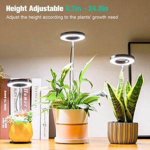 Plant lamp