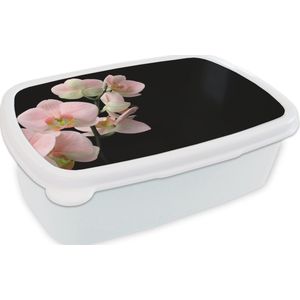 Broodtrommel Wit - Lunchbox - Brooddoos - Orchidee - Bloemen - Roze - Stilleven - Flora - 18x12x6 cm - Volwassenen