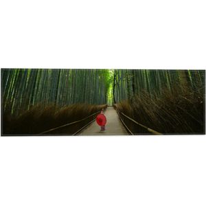 WallClassics - Vlag - Bamboe Bomen met Japanse Paraplu - 60x20 cm Foto op Polyester Vlag