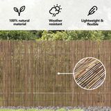 vidaXL - Tuinscherm - van - riet - 600x160 - cm