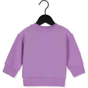 Diesel Sconfb Truien & Vesten Meisjes - Sweater - Hoodie - Vest- Paars - Maat 18-24M