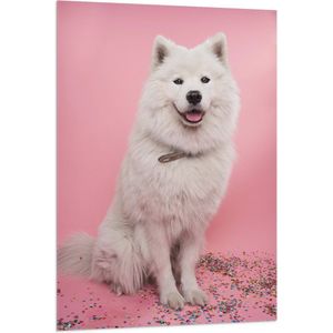 WallClassics - Vlag - Portret van Witte Hond tegen Roze Achtergrond met Confetti - 80x120 cm Foto op Polyester Vlag