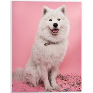 WallClassics - PVC Schuimplaat- Portret van Witte Hond tegen Roze Achtergrond met Confetti - 30x40 cm Foto op PVC Schuimplaat