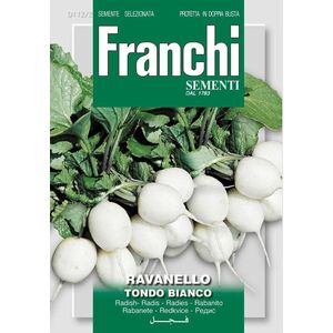 Franchi -  Radijs, Ravanello Tondo Bianco 112/2