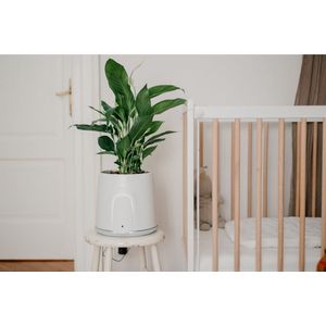 Vitesy Natede Smart luchtreiniger