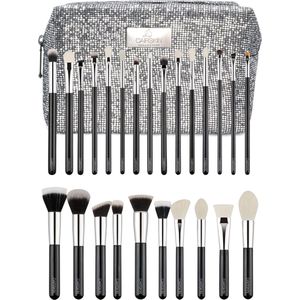 CAIRSKIN 25 Make-up Artist Professional Brushes Limited Edition Set / Professionele Volledige Visagie Make-up Kwasten Inclusief Silver Glitter Beauty Bag Gift Set