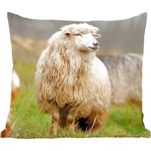 Sierkussen - Schaap Wol Gras - Bruin - 45 Cm X 45 Cm
