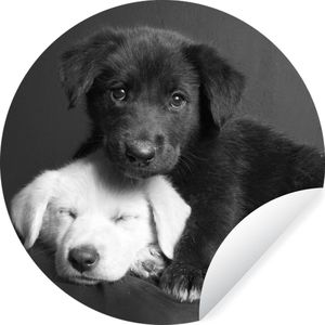 WallCircle - Behangcirkel - Zelfklevend behang - Dieren - Honden - Puppy - Zwart - Wit - 30x30 cm - Behangcirkel kinderkamer - Cirkel behang - Behangsticker