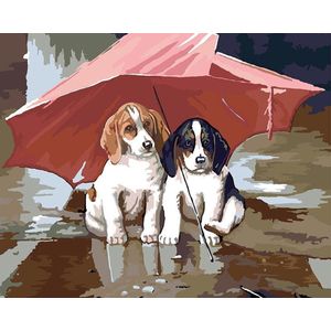 Paint by number voor volwassenen – schilderen op nummer volwassenen – Hondjes onder paraplu - Hond - puppie - Dieren – hond – diy – zonder frame - 40x50cm