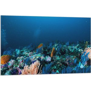 WallClassics - Vlag - Koraal onder Water - 105x70 cm Foto op Polyester Vlag