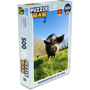 Puzzel Hangbuikzwijn - Gras - Varken - Legpuzzel - Puzzel 500 stukjes