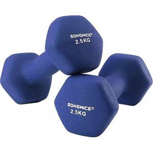 In And OutdoorMatch Dumbbells Set Darion - 2x2.5kg - Krachttraining - Thuis - Gym - Blauw