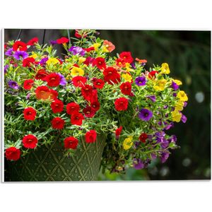 WallClassics - PVC Schuimplaat - Bloemenmadjes met Rode, Paarse en Gele Bloemen - 40x30 cm Foto op PVC Schuimplaat (Met Ophangsysteem)