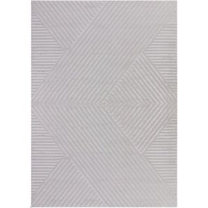 Flycarpets Cara Modern Japandi Intersecto Vloerkleed - Zilver - 140x200 cm