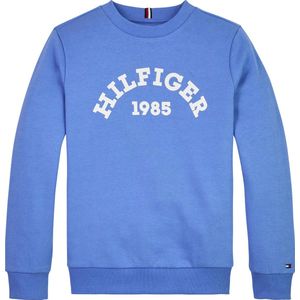 Tommy Hilfiger HILFIGER 1985 SWEATSHIRT Jongens Trui - Blue - Maat 10