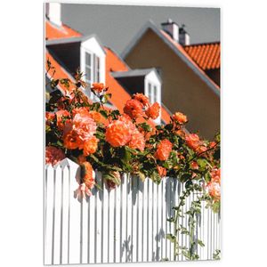 WallClassics - PVC Schuimplaat - Witte Schutting met Roze Tuinrozen - 60x90 cm Foto op PVC Schuimplaat (Met Ophangsysteem)