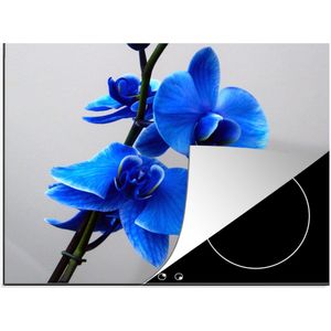 KitchenYeah® Inductie beschermer 59x52 cm - Blauwe Orchidee - Kookplaataccessoires - Afdekplaat voor kookplaat - Inductiebeschermer - Inductiemat - Inductieplaat mat