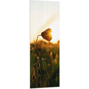 WallClassics - Vlag - Felle Zonnestralen door Bloemen in het Veld - 50x150 cm Foto op Polyester Vlag