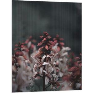 WallClassics - Vlag - Clos-up van Tak van Vuurwerkplant - 75x100 cm Foto op Polyester Vlag