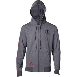 Assassin's Creed Odyssey Hoodie Grijs