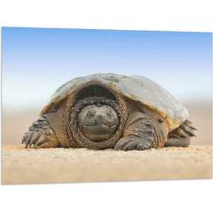 WallClassics - Vlag - Schildpad op het Zand - 100x75 cm Foto op Polyester Vlag