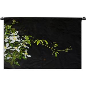 Wandkleed Planten op een zwarte achtergrond - Een kruipende tak van witte clematis op een zwarte achtergrond Wandkleed katoen 180x120 cm - Wandtapijt met foto XXL / Groot formaat!