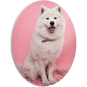 WallClassics - PVC Schuimplaat Ovaal - Portret van Witte Hond tegen Roze Achtergrond met Confetti - 21x28 cm Foto op Ovaal (Met Ophangsysteem)