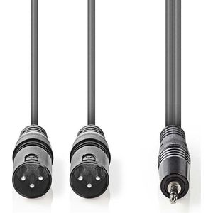Nedis Gebalanceerde Audiokabel - 2x XLR 3-Pins Male - 3,5 mm Male - Vernikkeld - 3.00 m - Rond - PVC - Donkergrijs - Kartonnen Sleeve