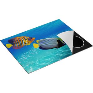 Chefcare Inductie Beschermer Twee Tropische Vissen in de Rode Zee - 77x59 cm - Afdekplaat Inductie - Kookplaat Beschermer - Inductie Mat