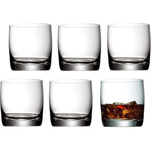 6-delige set Easy Plus Gin-tumblerglazen - 300 ml whiskyglazen - vaatwasmachinebestendig - onbreekbaar