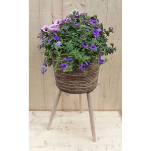 Rieten plantenbak bruin op poten met zomerbloeiers paars/blauw h65 cm