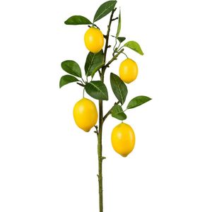 Kunstplanten - kunstplant - kunstbloemen - citroen tak - planten - kunstplant - kunstplanten voor binnen- kunst plant - nep planten