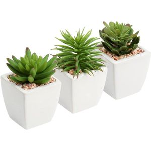 Kunstmatige vetplanten in keramische pot set van 3 - faux vetplanten - mini potplanten voor badkamer - nepplanten decor voor keuken patio thuiskantoor