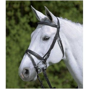 Star Diamond Hoofdstel