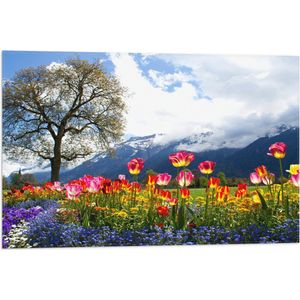 WallClassics - Vlag - Felgekleurde Bloemen in het Veld met Berg en Boom - 75x50 cm Foto op Polyester Vlag