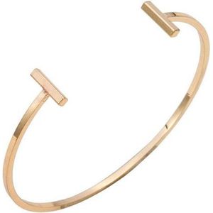 24/7 Jewelry Collection Dubbele Bar Bangle Armband - Goudkleurig